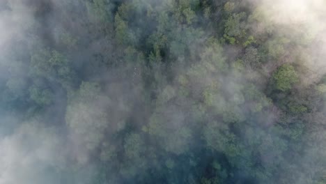 Vista-Aérea-Nublada-Mística-Sobre-Un-Bosque-En-Vercors-Francia.-Mañana-Soleada.